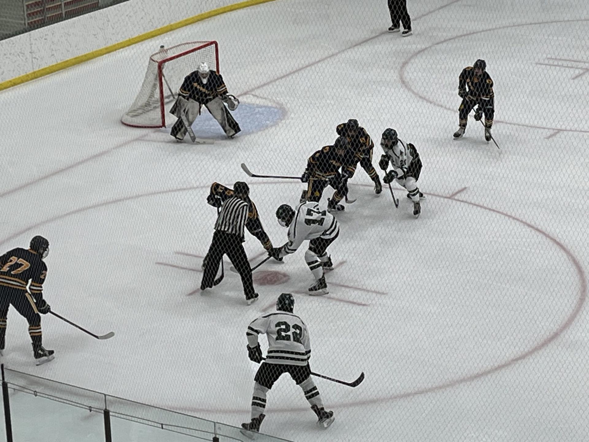 Wausau West, Mosinee and CW Storm earn high seeds as WIAA hockey playoff brackets announced.