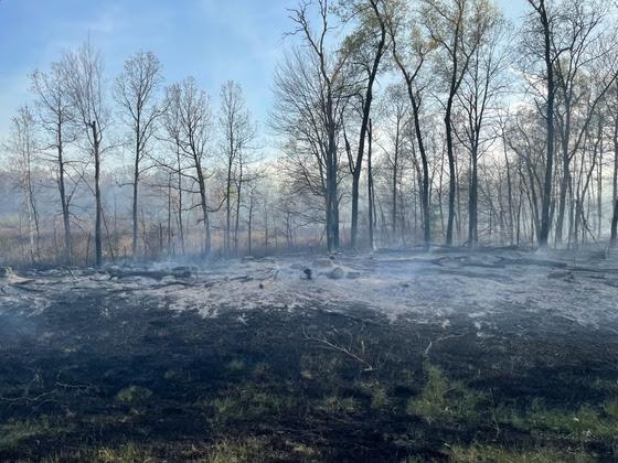 80-Acre Wildfire In Juneau County Evacuates Homes