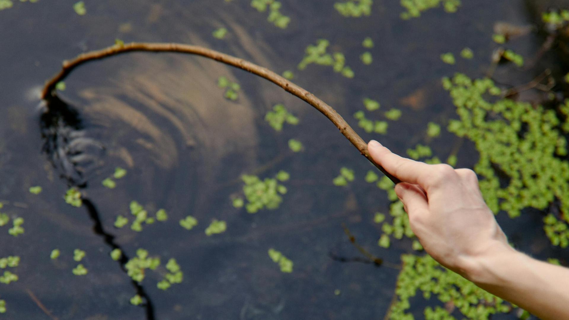 Water in Wisconsin: Warmth Spikes Bacteria Levels & Algae Blooms