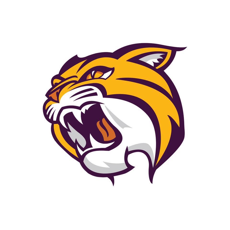 Wild Rose School District Threat