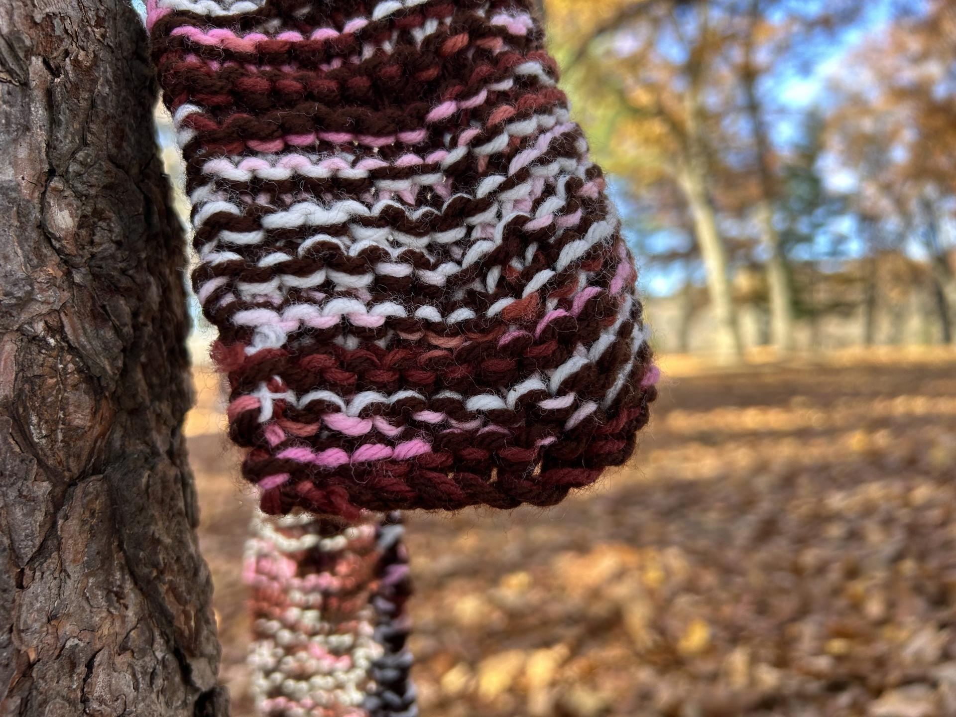 School kids wrap trees with love