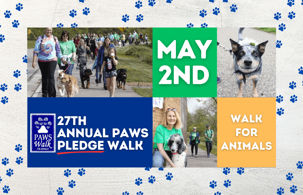 PAWS Pledge Walk for Animals
