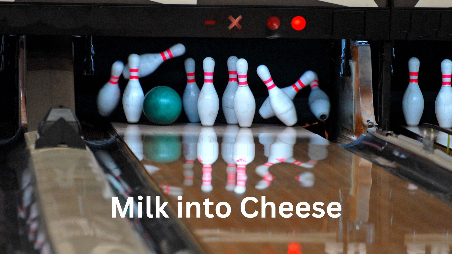 Milk Into Cheese fundraiser a success